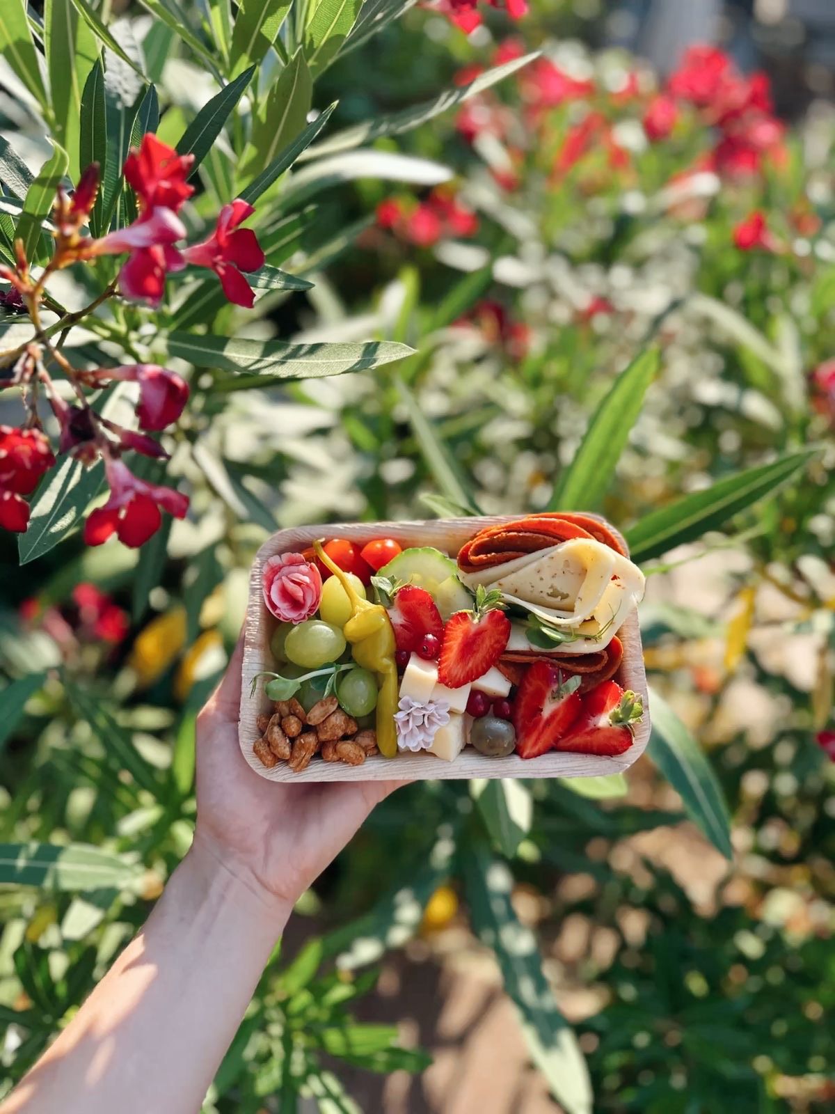 Mini-Snack-Box (5er-Paket)